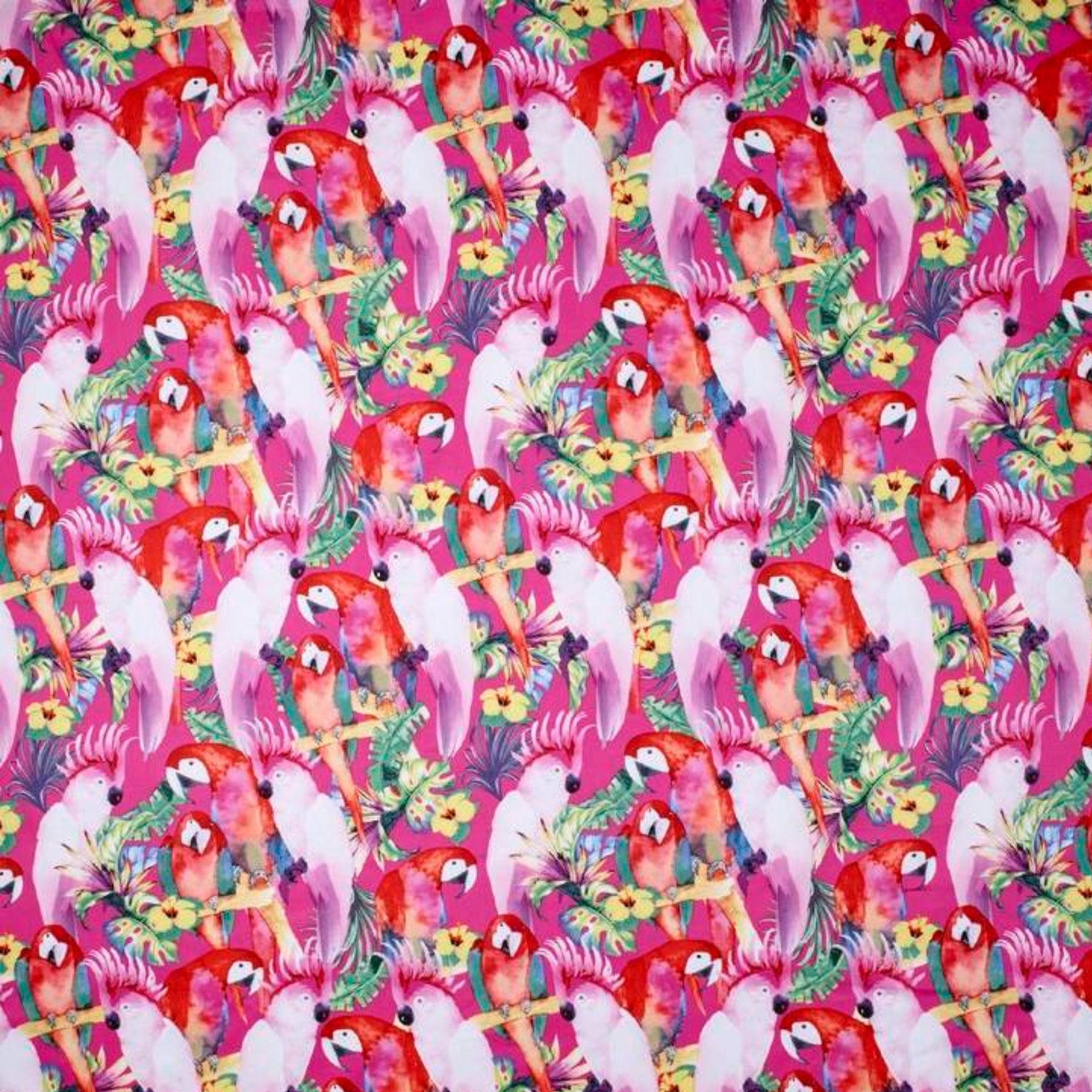 Parrots - Large Bib